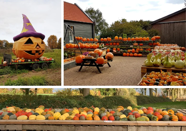 Pompoenboerderij Gelderland