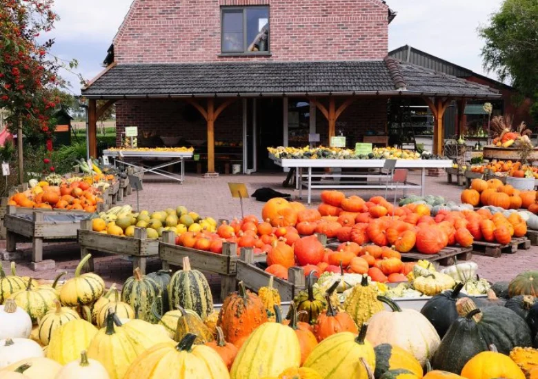 Pompoenboerderij Zeeland