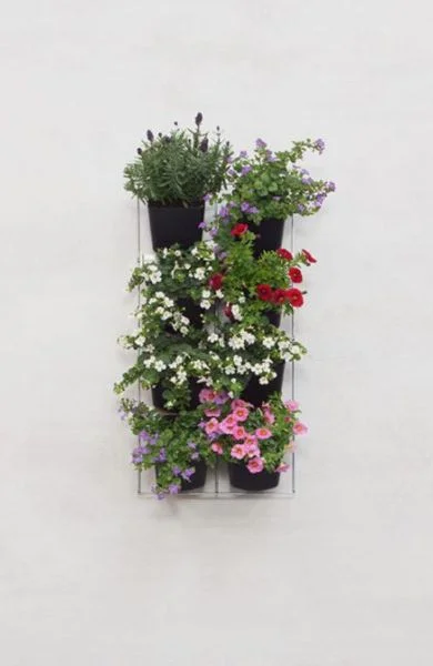Verticale tuin buiten